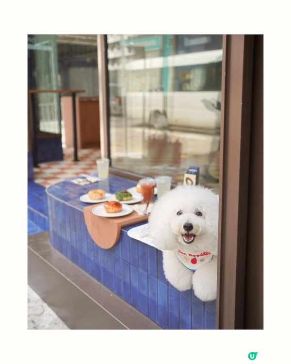 上環新開冬甩店🍩！不甜不油膩！