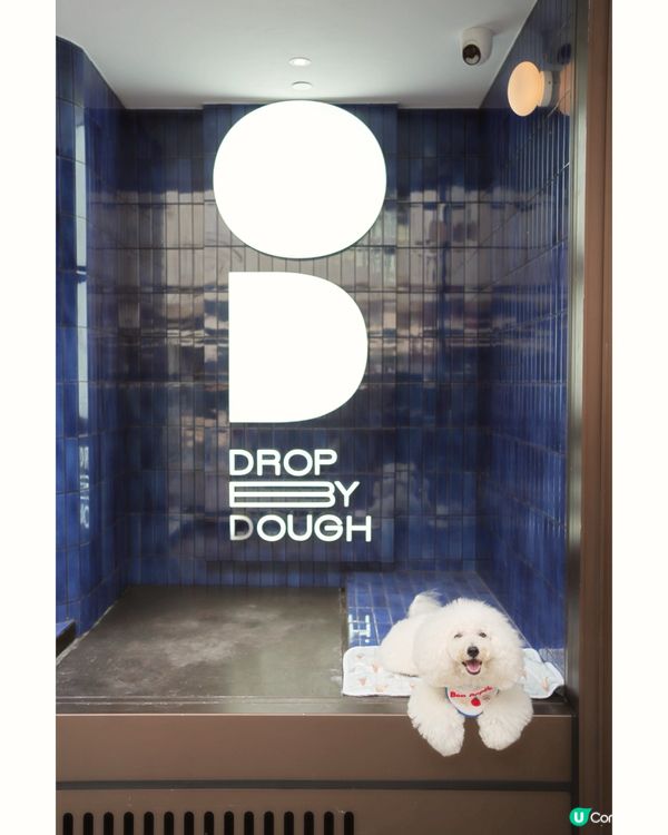 上環新開冬甩店🍩！不甜不油膩！