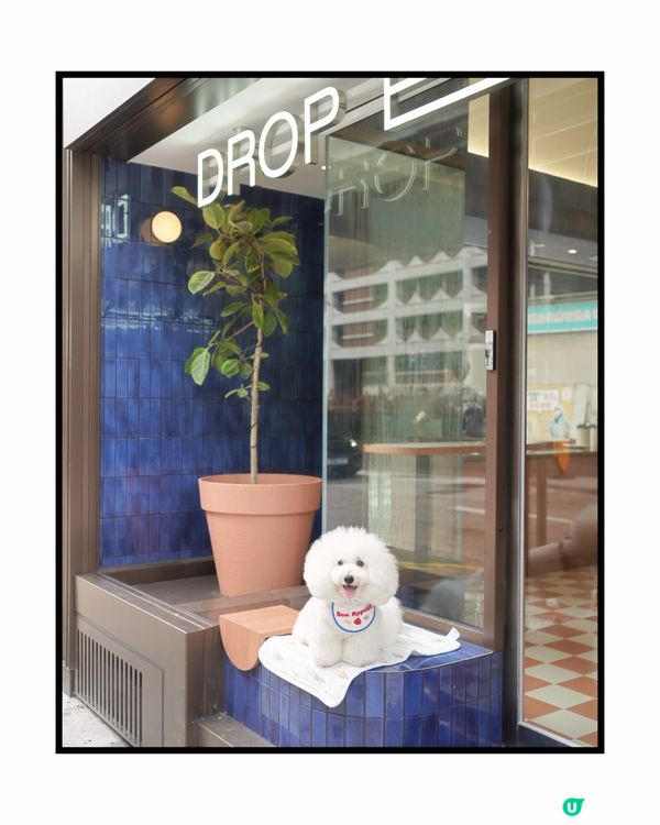 上環新開冬甩店🍩！不甜不油膩！