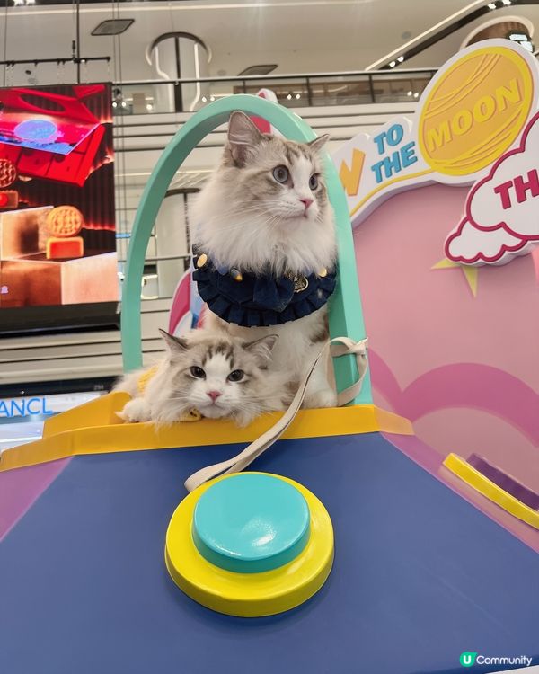 圍方寵物友善設施，毛孩天堂！🐶🐱🥳