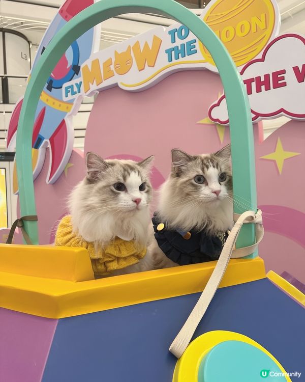 圍方寵物友善設施，毛孩天堂！🐶🐱🥳