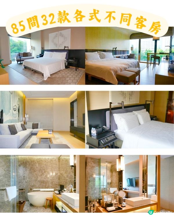福田打卡！輕奢酒店🏨靚到震！🤩 留言攞料！
