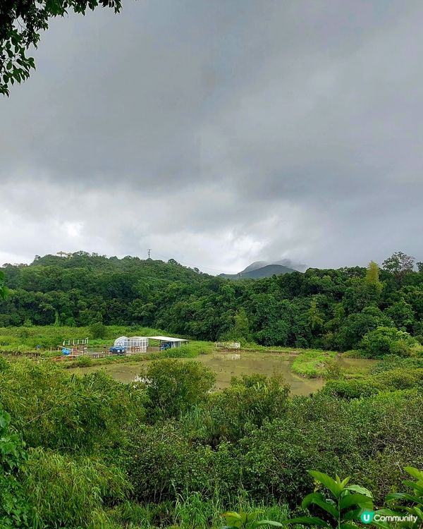 週末鹽田仔藝術節改期！周末見！🥳