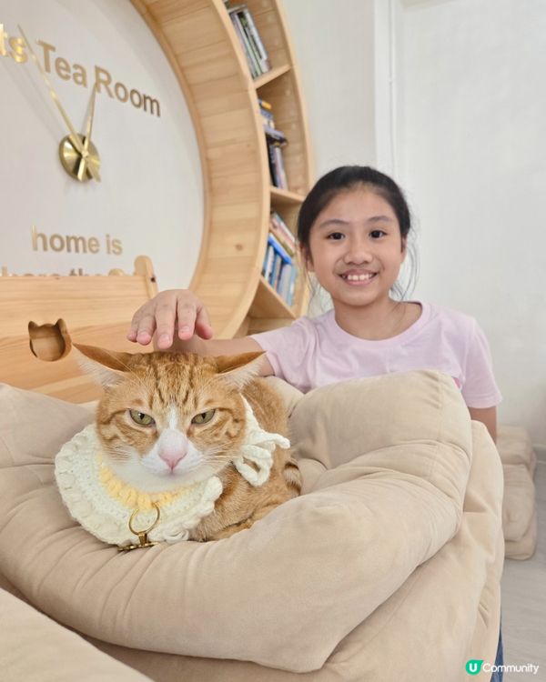 貓之茶房親子遊😻！囡囡笑到停唔到！