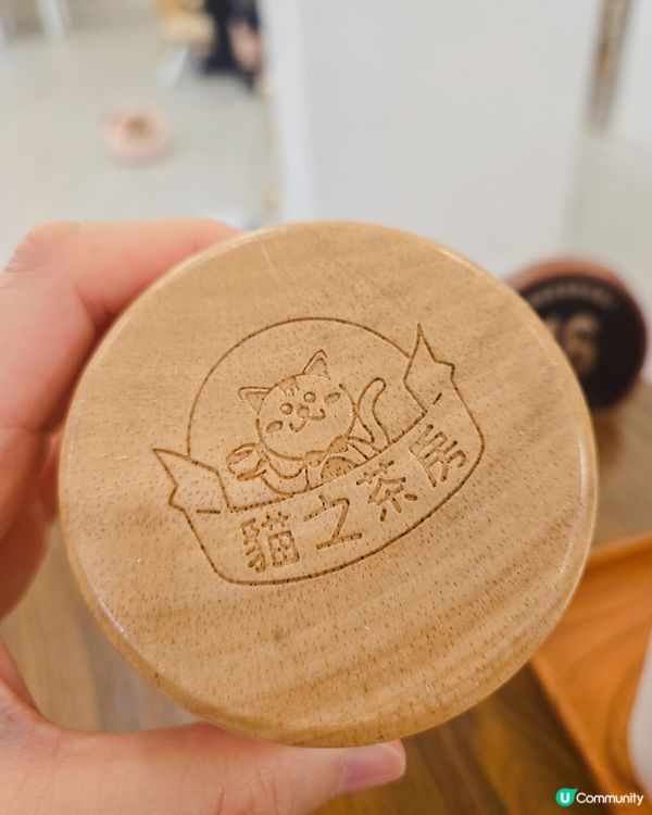 貓之茶房親子遊😻！囡囡笑到停唔到！