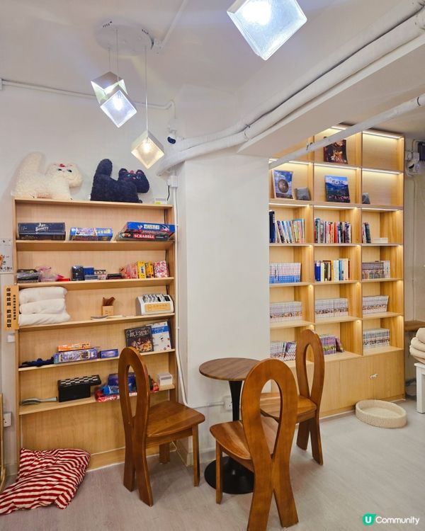 貓之茶房親子遊😻！囡囡笑到停唔到！