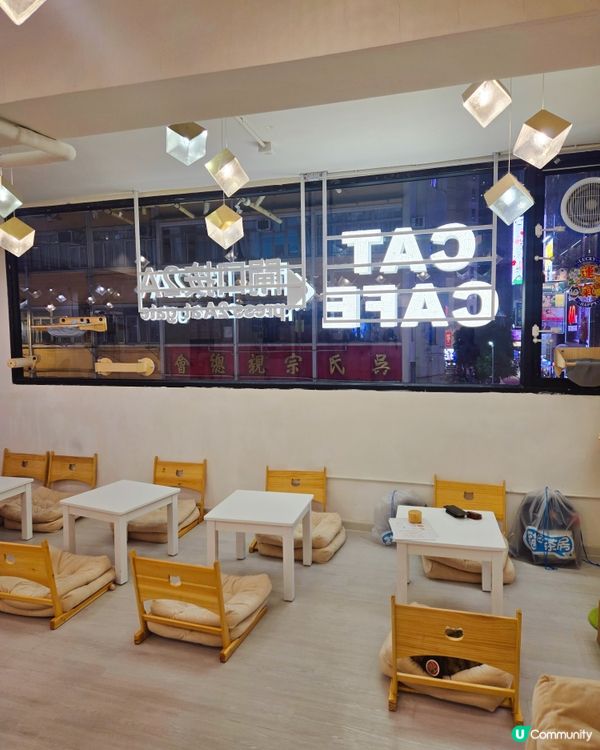 貓之茶房親子遊😻！囡囡笑到停唔到！