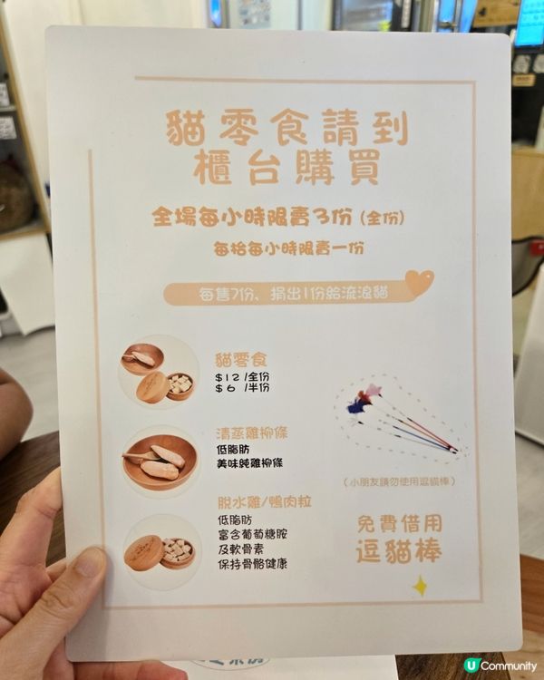 貓之茶房親子遊😻！囡囡笑到停唔到！