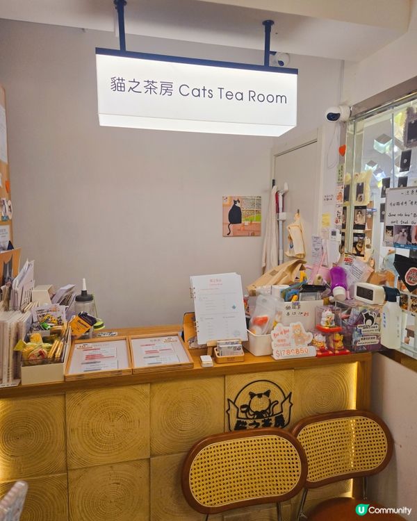 貓之茶房親子遊😻！囡囡笑到停唔到！