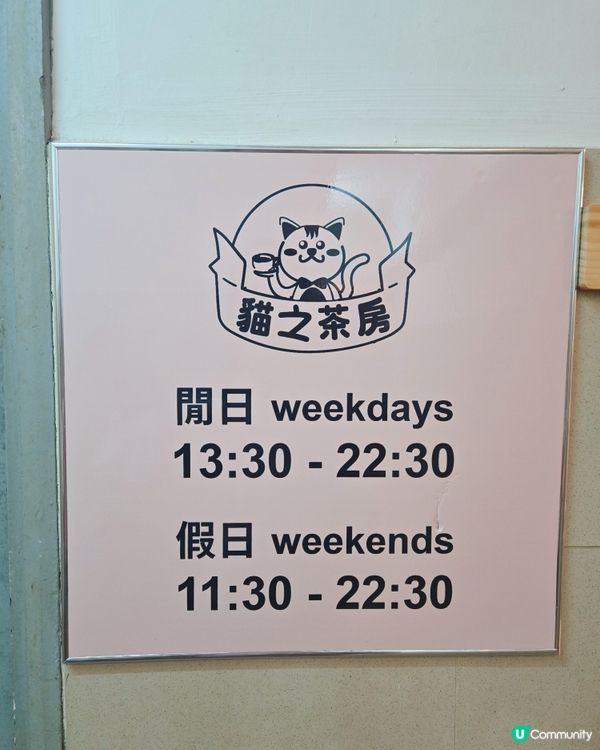 貓之茶房親子遊😻！囡囡笑到停唔到！