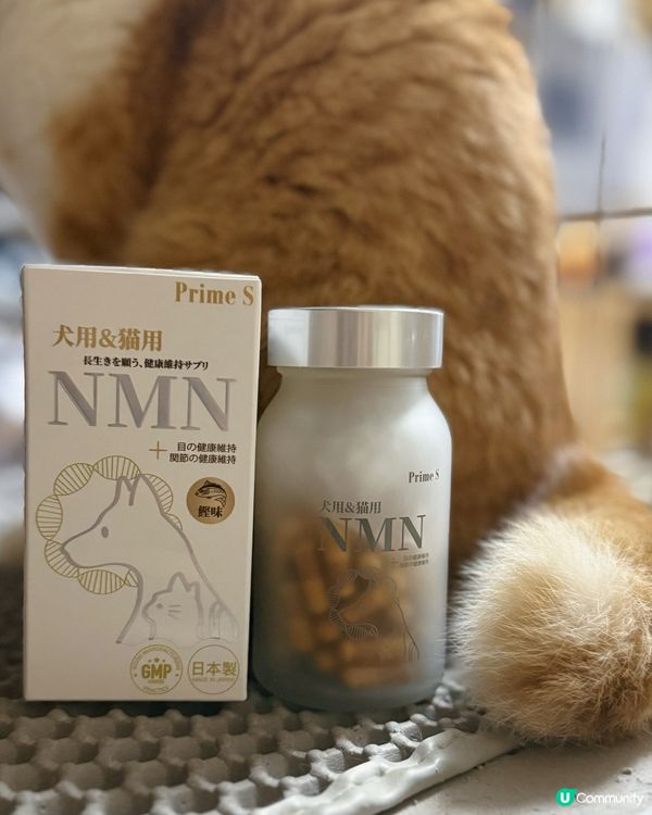 NMN幫我照顧主子既健康🐱