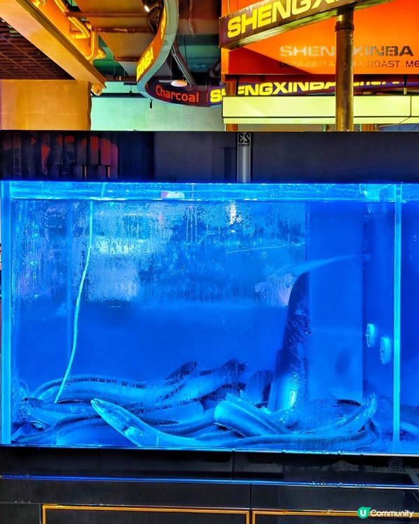 沉浸式享受東北烤肉時光，鮮味肉肉就是鮮🫶🏻