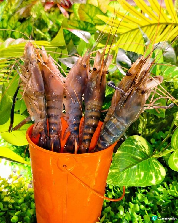 沉浸式享受東北烤肉時光，鮮味肉肉就是鮮🫶🏻