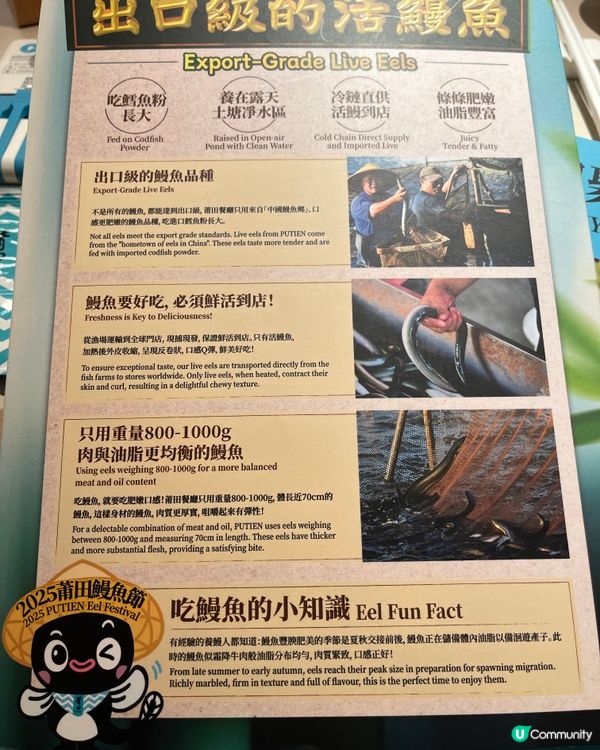 [勞蘇食]當鰻魚遇上福建味道🧜🏻‍♀️