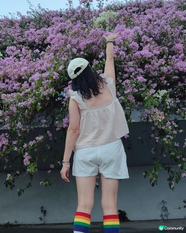 🌸🌸我愛花花之📸花海🌸網紅打卡點仙湖植物園停車場🌸