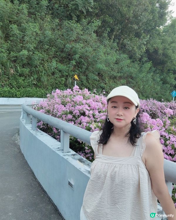 🌸🌸我愛花花之📸花海🌸網紅打卡點仙湖植物園停車場🌸