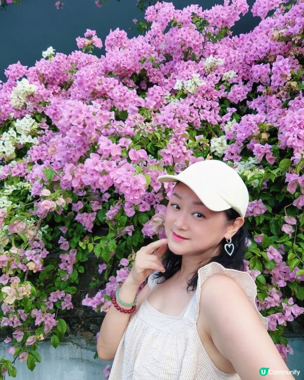 🌸🌸我愛花花之📸花海🌸網紅打卡點仙湖植物園停車場🌸