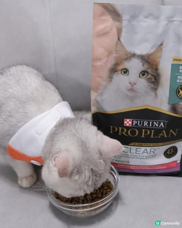 寵物食品攻略：PURINA® PRO PLAN®舒敏系列貓糧