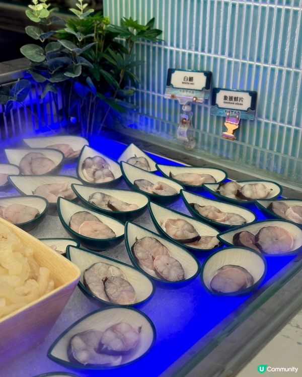 私心推介 千海水產海鮮火鍋放題