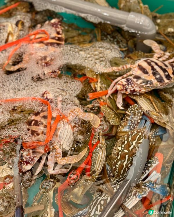 私心推介 千海水產海鮮火鍋放題