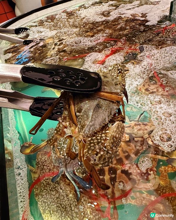 千海水產放題🤤！海鮮控必衝！🦀🦐