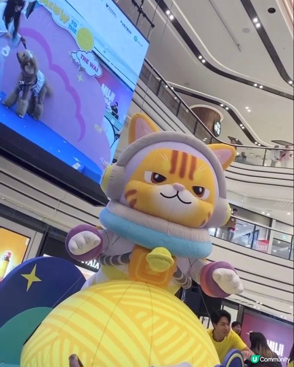 寵物放電攻略：圍方商場參加才藝選秀戰