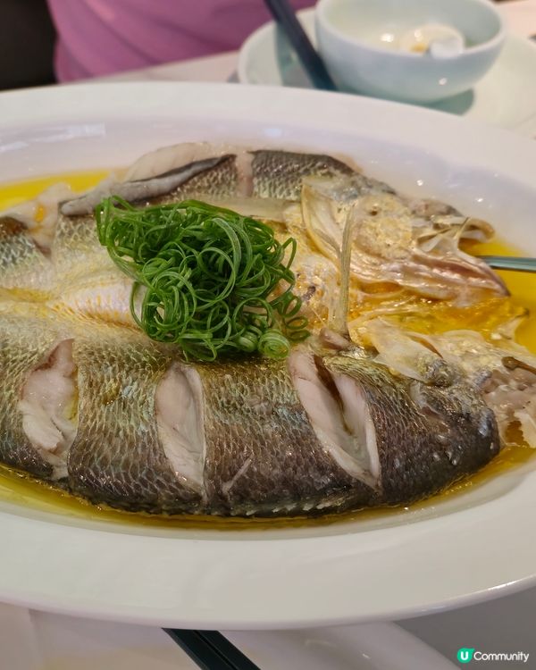 第一次食浙江菜😋！生日飯超滿足🥳