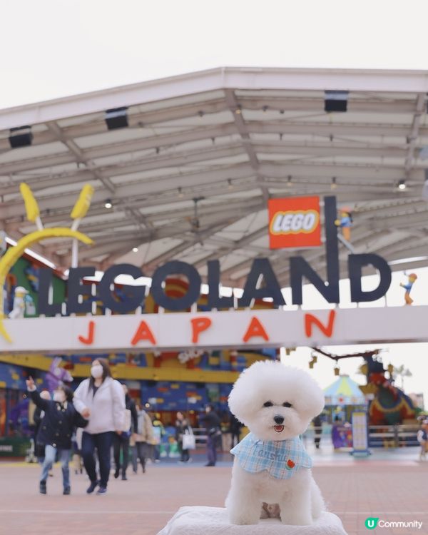 Lego迷天堂 😎 帶狗一齊慢步🐶各種樂高模型超震撼👀 🚂