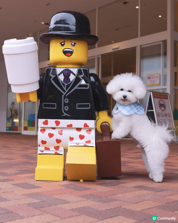 Lego迷天堂 😎 帶狗一齊慢步🐶各種樂高模型超震撼👀 🚂