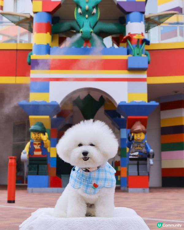 Lego迷天堂 😎 帶狗一齊慢步🐶各種樂高模型超震撼👀 🚂