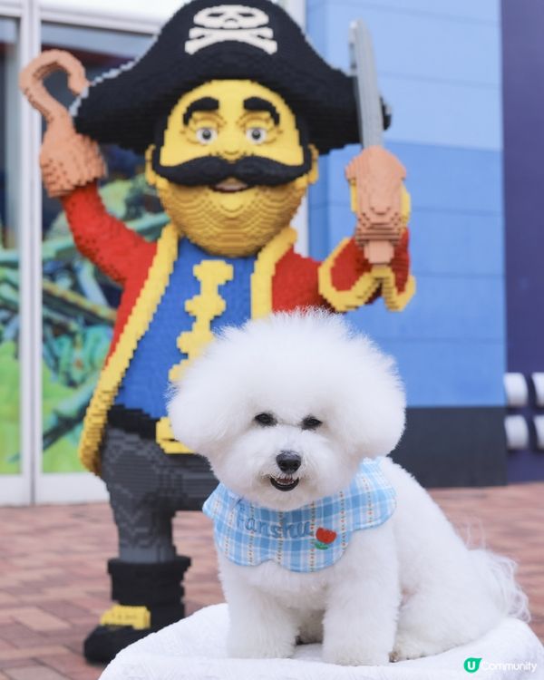 Lego迷天堂 😎 帶狗一齊慢步🐶各種樂高模型超震撼👀 🚂