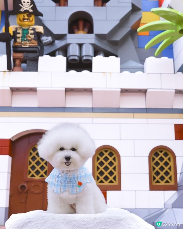 Lego迷天堂 😎 帶狗一齊慢步🐶各種樂高模型超震撼👀 🚂