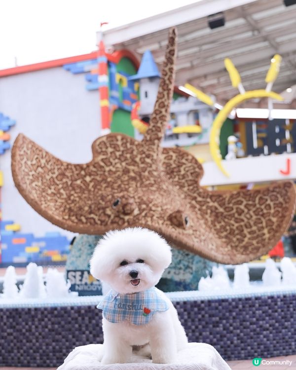 Lego迷天堂 😎 帶狗一齊慢步🐶各種樂高模型超震撼👀 🚂