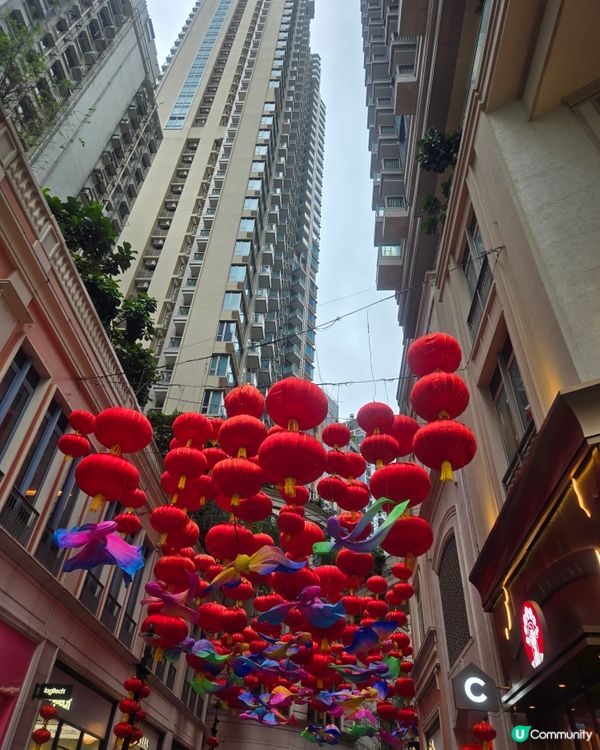 Belated Mid Autumn Festival