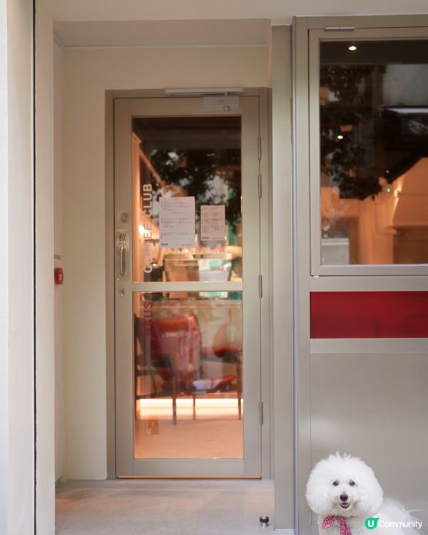 新開韓風咖啡店☕️ 奴才帶你去🐶😋