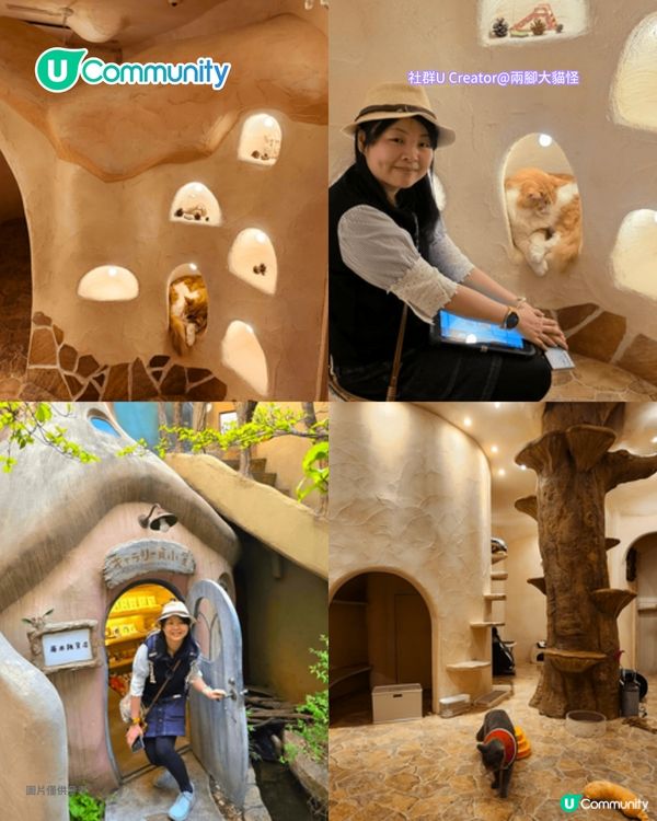 日本cafe 2025｜7間東京動物cafe推介 與超萌水獺/土撥鼠/薩摩耶互動