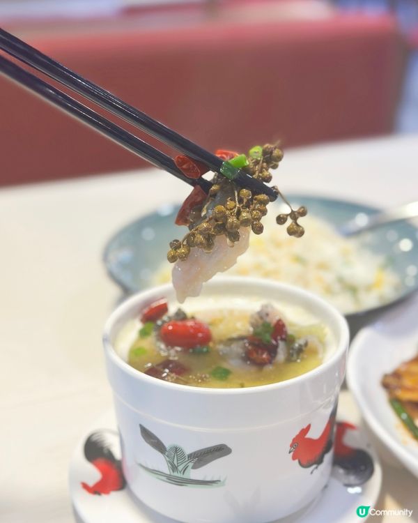 古琴雅苑烤鴨🤤！正宗北京填鴨😋！ 