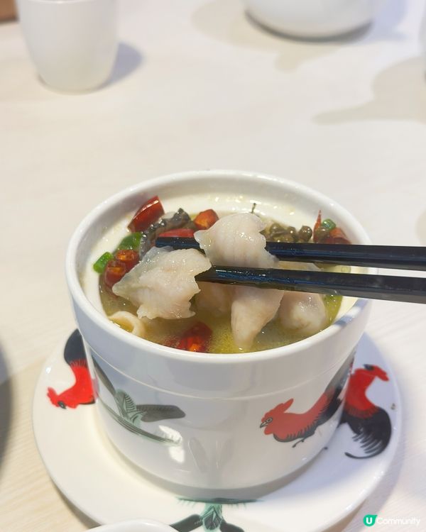 古琴雅苑烤鴨🤤！正宗北京填鴨😋！ 