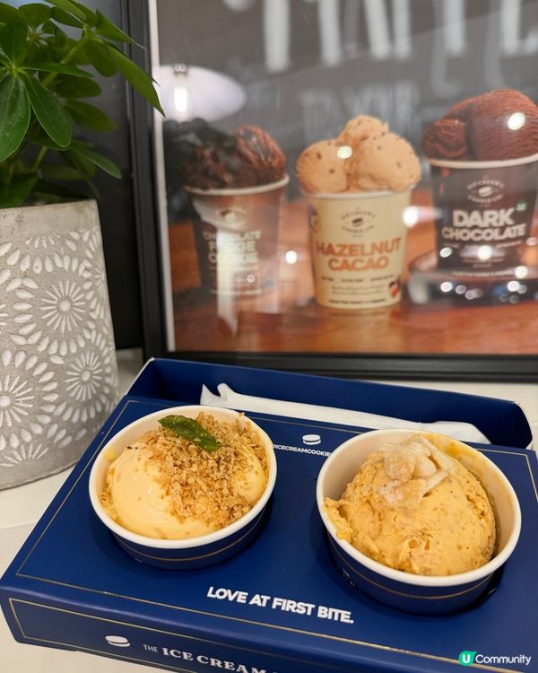 新加坡風味雪糕🍦！鹹蛋/喇沙味勁特別🤤！ #雪糕控