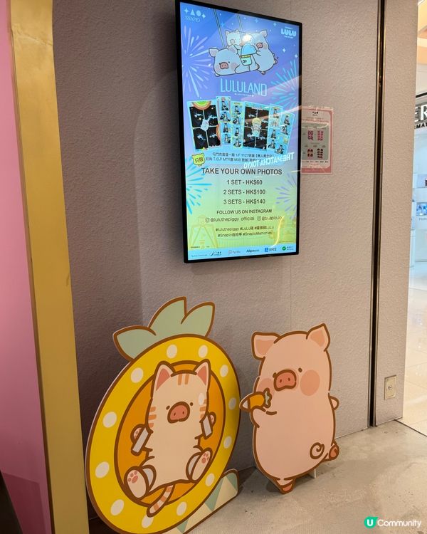 召喚 LuLu豬愛好者 齊齊打卡📸