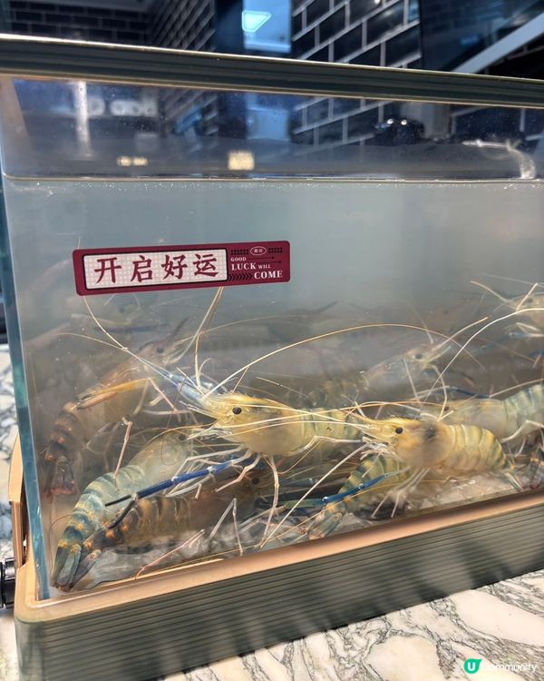 泰國菜控必睇！深業上城泰謠🤤！ 🦀🌶️