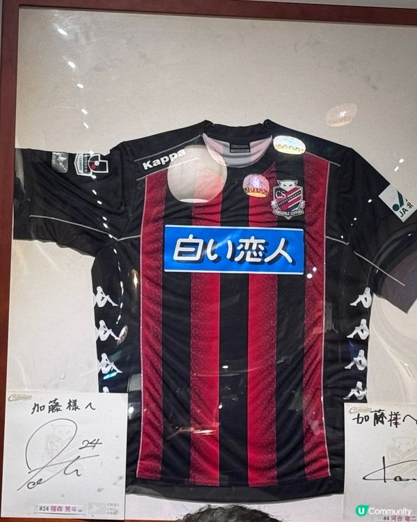 日本老闆識講廣東話😍香港食北海道美食💖札幌湯咖喱超正！🍲