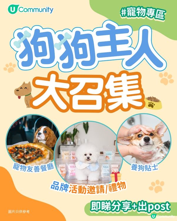 【狗主必睇🐾】毛孩品牌活動體驗招募 x 日常分享📸✨！