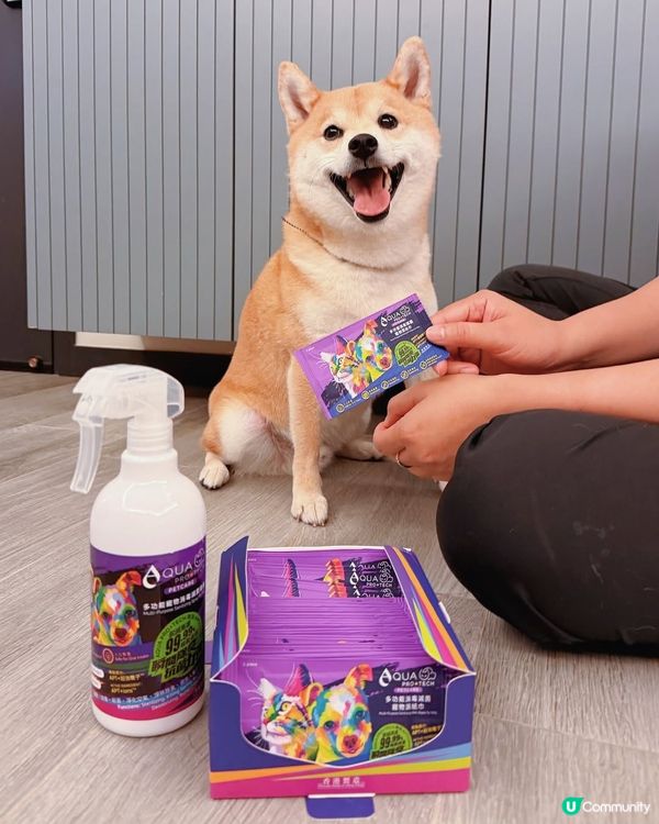 【狗主必睇🐾】毛孩品牌活動體驗招募 x 日常分享📸✨！