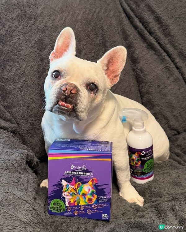 【狗主必睇🐾】毛孩品牌活動體驗招募 x 日常分享📸✨！