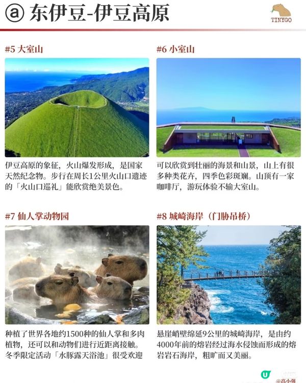 【伊豆半岛】4天玩转富士箱根伊豆