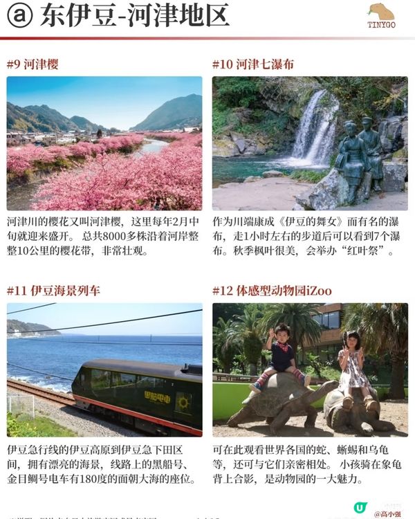【伊豆半岛】4天玩转富士箱根伊豆