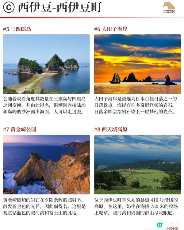 【伊豆半岛】4天玩转富士箱根伊豆