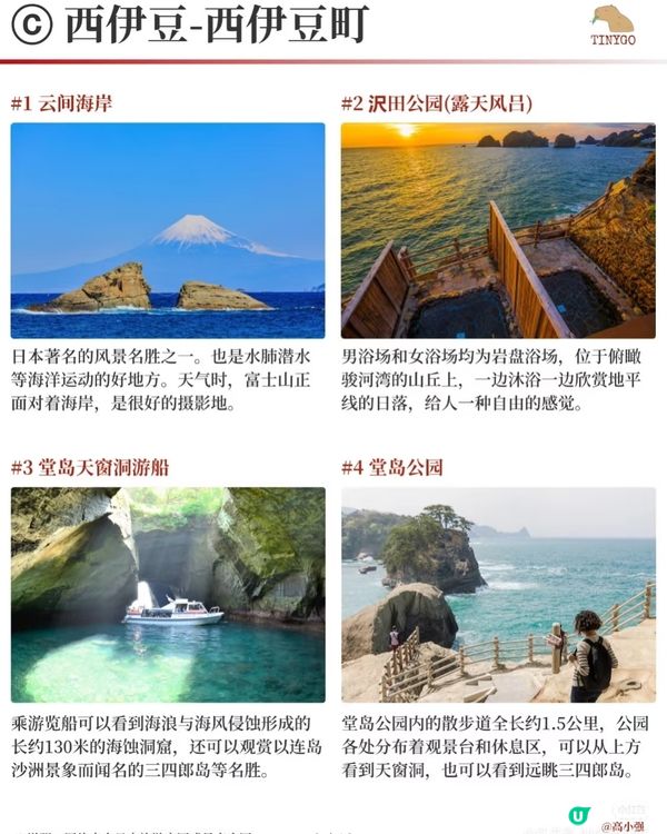 【伊豆半岛】4天玩转富士箱根伊豆