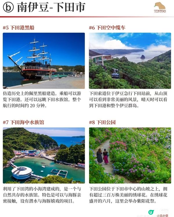 【伊豆半岛】4天玩转富士箱根伊豆